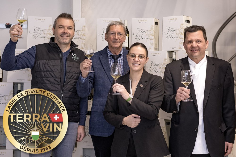 ©BG-Co-Creative-Strategy-AVY 26_003