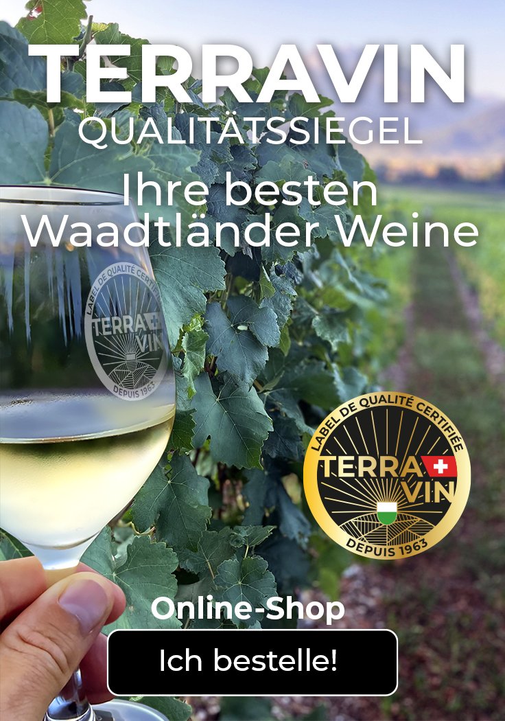 TER26_visuel_boutique-DE