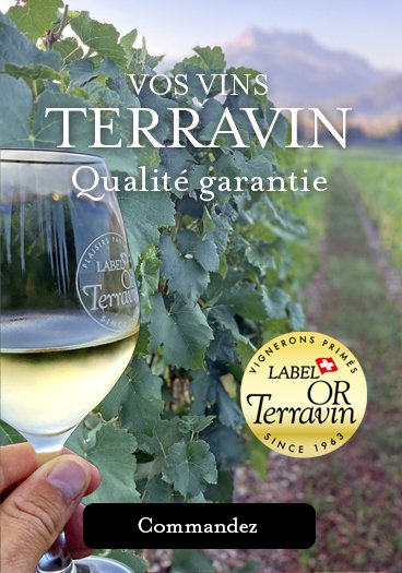 Commandez un vin Terravin